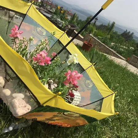 Family Aida Hotel Ţigov Ceark