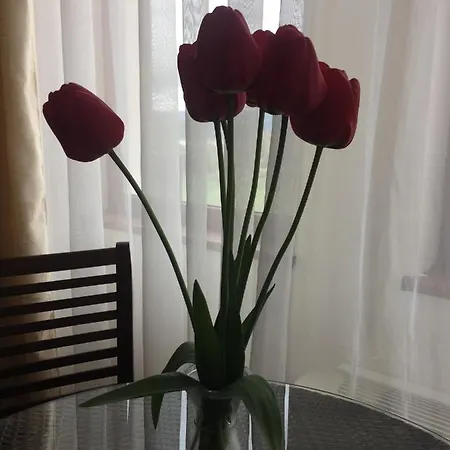 Family Aida Hotel
